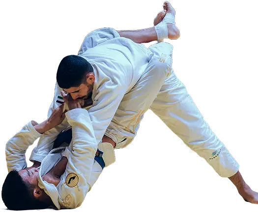 الجوجيتسو في الإمارات